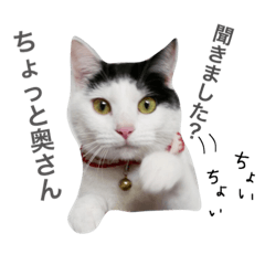 [LINEスタンプ] うちのネム氏