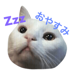 [LINEスタンプ] なかやまさんち
