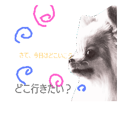 [LINEスタンプ] ぽめスタンプ