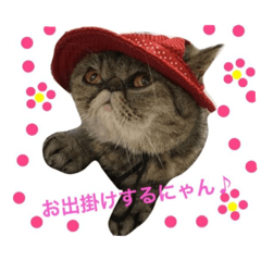 [LINEスタンプ] くりまんスタンプ