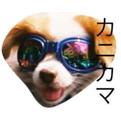[LINEスタンプ] ベトナムの風を感じて