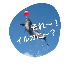 [LINEスタンプ] 俺のスタンプ①