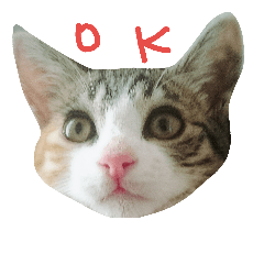 [LINEスタンプ] ロワのスタンプ