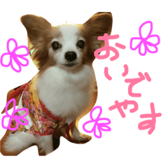 [LINEスタンプ] みるく