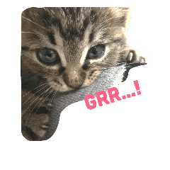 [LINEスタンプ] ちびたん。