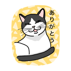 [LINEスタンプ] おはなしねこ