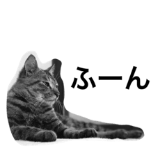 [LINEスタンプ] ちっちさん