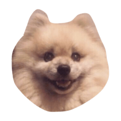 [LINEスタンプ] ちゅうべえ(仮)