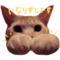 [LINEスタンプ] もぐむぎといいこ達