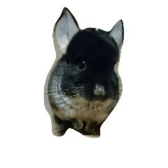 [LINEスタンプ] くろべぇの日常