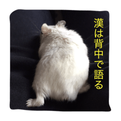[LINEスタンプ] やんちゃハムスター