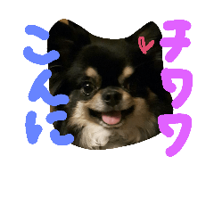 [LINEスタンプ] ジルᵃⁿᵈチュナ