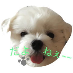 [LINEスタンプ] ぼく ふくです。