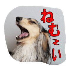 [LINEスタンプ] リアンちゃん パート2