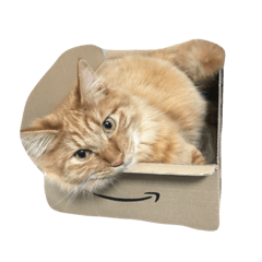 [LINEスタンプ] ロン毛の猫