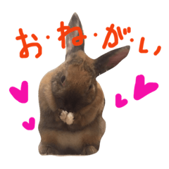 [LINEスタンプ] 可愛い娘達＆息子