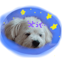 [LINEスタンプ] gimnam