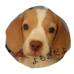[LINEスタンプ] YOMOGI.
