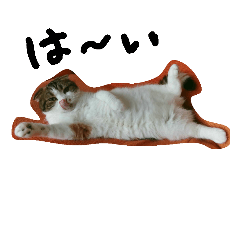 [LINEスタンプ] ゴマ
