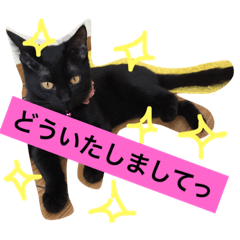 [LINEスタンプ] 黒猫のくろまめちゃん パート2