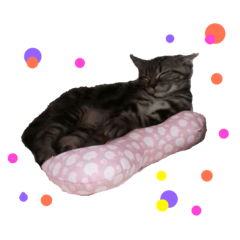 [LINEスタンプ] ねこのはるさん2