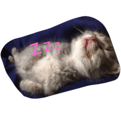 [LINEスタンプ] らむ.うぶ.はる.