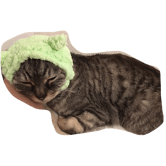 [LINEスタンプ] ひーたん