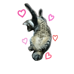 [LINEスタンプ] だぐのすたんぷ2