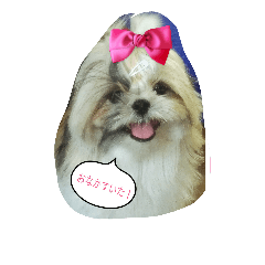 [LINEスタンプ] ありのすたん