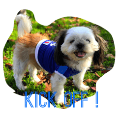 [LINEスタンプ] 日本 サッカー 犬