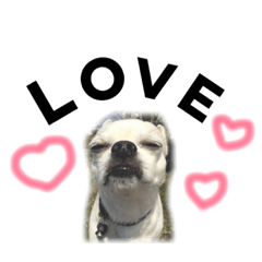 [LINEスタンプ] ② ちろるだらけ。英語