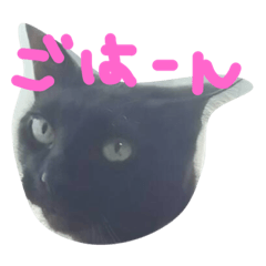 [LINEスタンプ] ぺっとたち♡