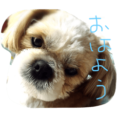 [LINEスタンプ] とも♡