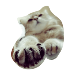 [LINEスタンプ] ちびちゃん！