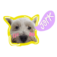 [LINEスタンプ] Jark