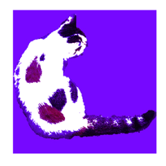 [LINEスタンプ] Pop Art Cat emoticons_1