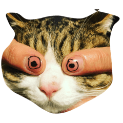 [LINEスタンプ] 猫のあっちゃん