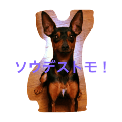 [LINEスタンプ] ミニピン☆テト