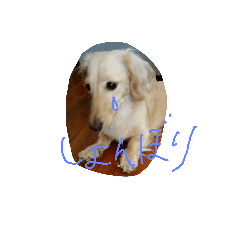 [LINEスタンプ] 愛犬1