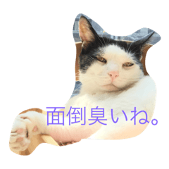 [LINEスタンプ] ブラン猫スタンプ②