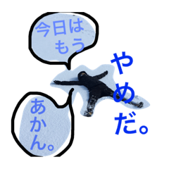 [LINEスタンプ] 橋本さんちのおばかスタンプ