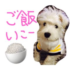 [LINEスタンプ] はらペコ