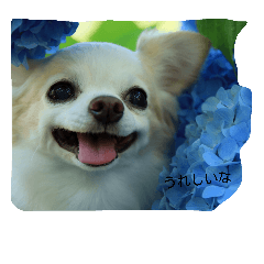 [LINEスタンプ] ミルキーのプリティーショット