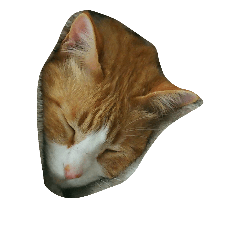 [LINEスタンプ] ジンニちゃんもそう