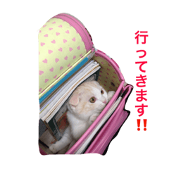 [LINEスタンプ] みぞれの日常