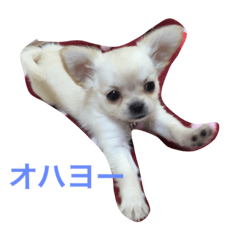 [LINEスタンプ] モモララスタンプ