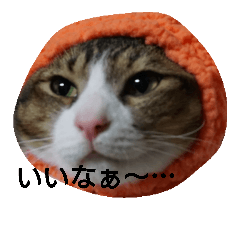 [LINEスタンプ] 帽子ねこ