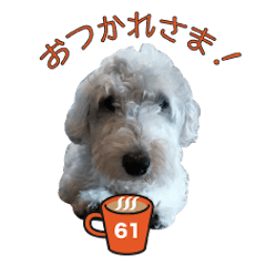 [LINEスタンプ] ワンコのロクイチ君 vol.1