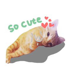 [LINEスタンプ] meow funny