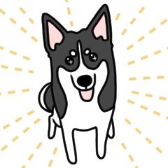 [LINEスタンプ] 黒犬の生活 第1弾
